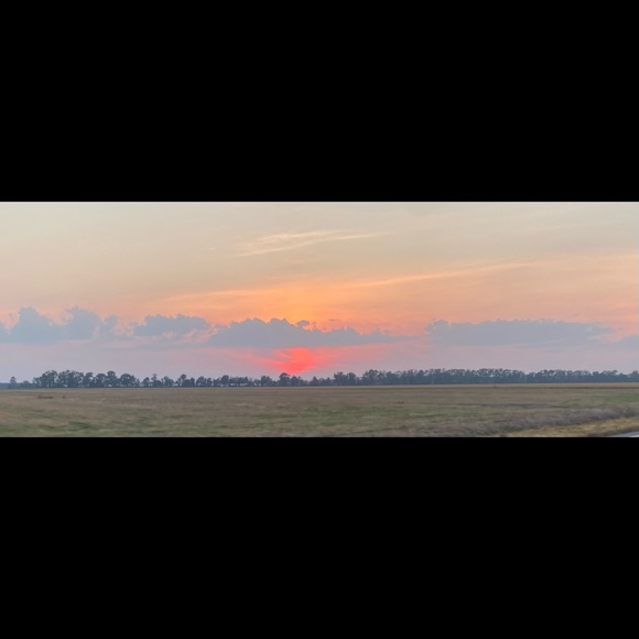 Meet your Posher, C.C. - Picture 3 of 6